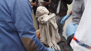 Aparentemente del Siglo V d.C, la momia, además, debía ser femenina pues sólo tenía el cromosoma X. Así pues sus cromosomas sexuales eran como los nuestros aún siendo una evidencia extraterrestre, para los “científicos” y varios “investigadores” anexos al programa GAIA.