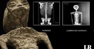 Científicos analizan las momias alienígenas de México y la historia sigue oliendo a fraude Las momias alienígenas que se presentaron en el congreso de México parecían un fraude desde el primero momento. Pero cada vez hay más pruebas de ello.