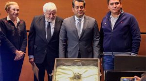 No, no hay evidencia de que los cuerpos presentados en el Congreso de México sean extraterrestres y esto tampoco fue certificado por la UNAM.