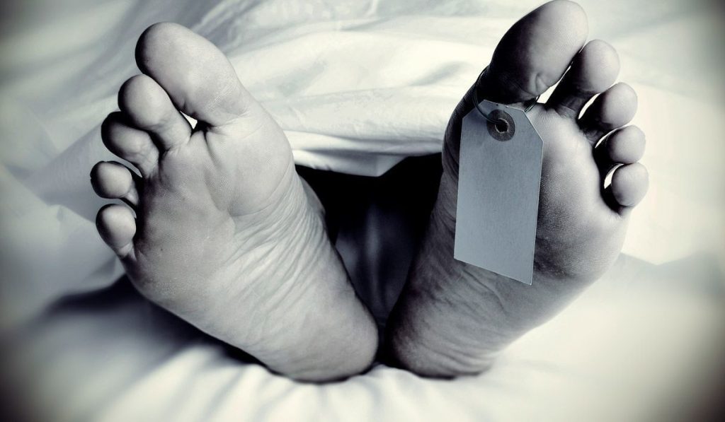 “Los bots postmortem se construyen a partir de mensajes, audios y recuerdos digitales del fallecido, recreando su voz y forma de expresarse: una simulación que oscila entre homenaje, ilusión y enigma.”