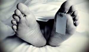 “Los bots postmortem se construyen a partir de mensajes, audios y recuerdos digitales del fallecido, recreando su voz y forma de expresarse: una simulación que oscila entre homenaje, ilusión y enigma.”