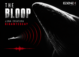 The Bloop parecía salido de una película de monstruos marinos. Sin embargo, la explicación científica apunta hacia algo mucho más terrestre: la fractura y el movimiento de grandes masas de hielo antártico.